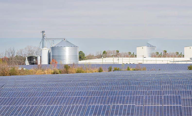 “Dual Carbon” Development Plan 2 “Dual Carbon” Development Plan 2