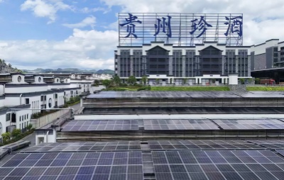 Guizhou Zhenjiu Holding Co., Ltd